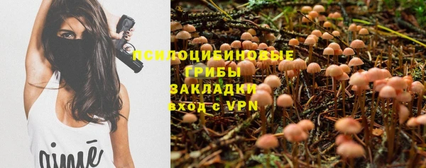 тгк Балахна