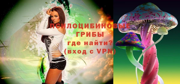 тгк Балахна